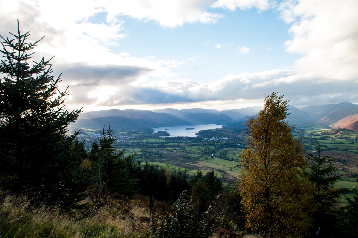 Views from Dodd Wood with Derwentwater in the distance, mountains around and blue sky