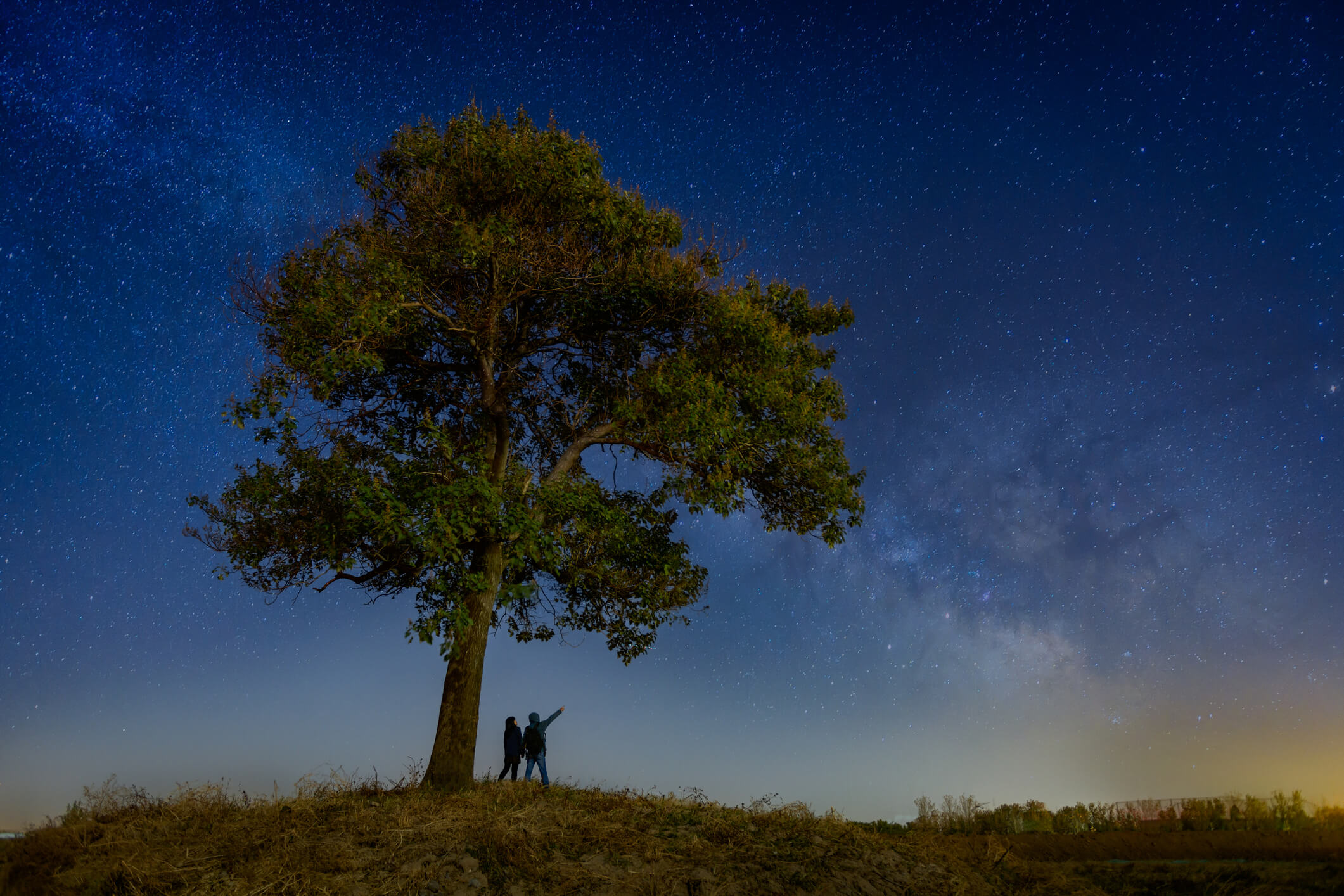 Couple under a tree stargazing at the night sky